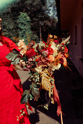 Divoká podzimní veselka