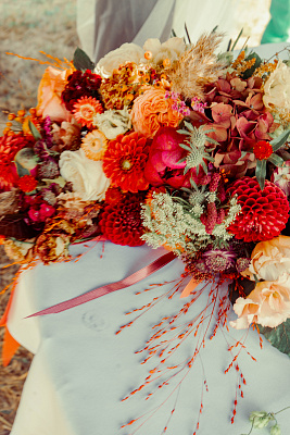 Divoká podzimní veselka